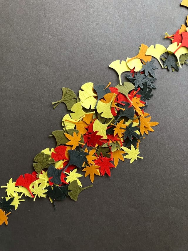 Autumn Leaves Set: Maple & Ginkgo (2.5cm)